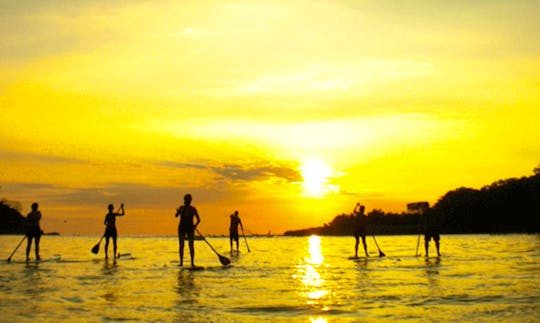 Stand Up Paddleboard Trips in Quepos, Costa Rica