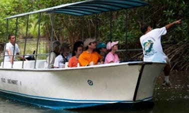 Seja um com a natureza em nosso passeio turístico em Quepos, Costa Rica