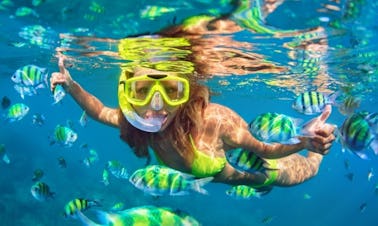 Jouez avec la vie marine animée de Quepos, au Costa Rica