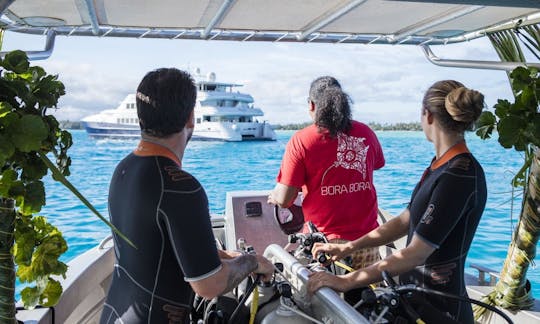 2 Tank Dives by Private Boat - 4 Hours Trip in Bora Bora!