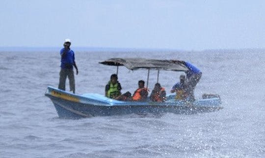 スリランカでの3時間のプライベートボートライド（6人）！