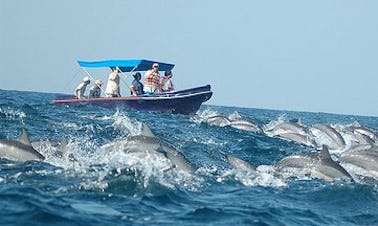 Rent a Dinghy in Ilanthadiya, Sri Lanka for up to 6 person
