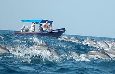 Rent a Dinghy in Ilanthadiya, Sri Lanka for up to 6 person