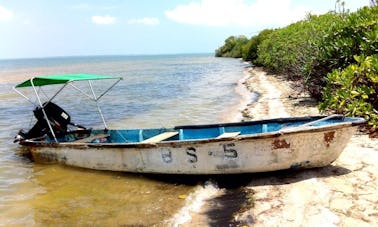 Cruzeiro de barco pelo rio em Ilanthadiya, Sri Lanka em um bote para até 6 pessoas