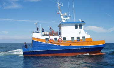 Excursions de pêche à Kołobrzeg, en Pologne, sur le catamaran à moteur Globetrotter