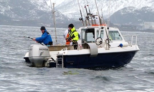 Alugue um barco de pesca de 21 pés na Noruega