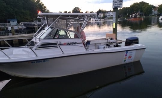 Just Repowered Cuddy Cabin/Walk Around bareboat fishing charter in Annapolis