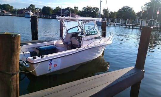 Just Repowered Cuddy Cabin/Walk Around bareboat fishing charter in Annapolis