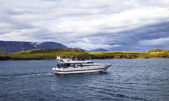 Charter a 35 Person Cantieri di Pisa Motor Yacht in Reykjavík, Iceland