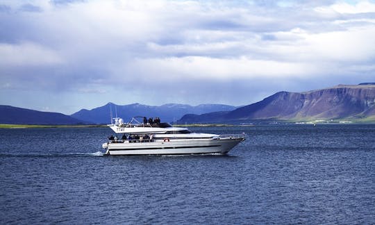 Charter a 35 Person Cantieri di Pisa Motor Yacht in Reykjavík, Iceland