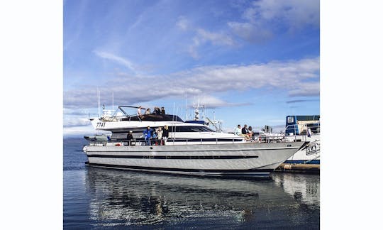 Charter a 35 Person Cantieri di Pisa Motor Yacht in Reykjavík, Iceland