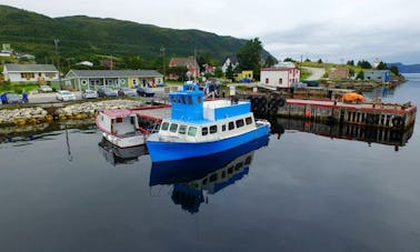 Passenger Boat Trips in Bonne Bay, Canada