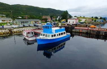 Passenger Boat Trips in Bonne Bay, Canada