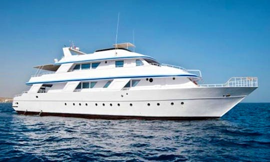 Exciting Liveaboard Diving Trips in South Sinai onboard our 122' Dive Boat