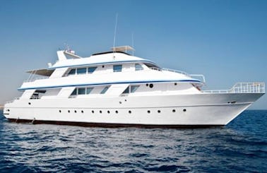 Exciting Liveaboard Diving Trips in South Sinai onboard our 122' Dive Boat