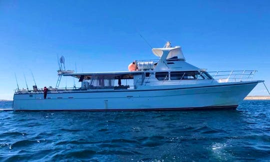 Swan River and Rottnest Cruises