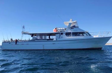 Swan River and Rottnest Cruises