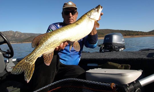 Enjoy Fishing in Puebla de Alcocer, Spain on Bass Boat