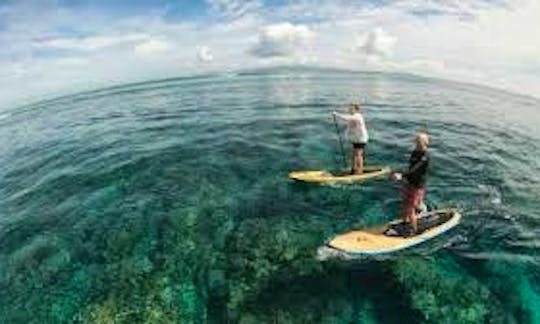 Stand Up Paddle Board in Crystal Clear water