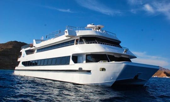the cruising catamaran is a totally new concept to Sharm el Sheikh, offering luxury day and evening cruises