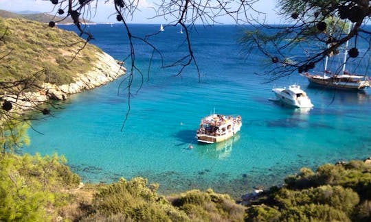 Daily Boat Trip to Orak Island Bodrum