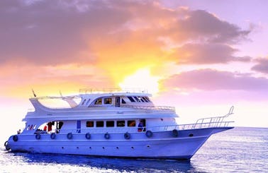 20 Person Luxurious Motor Yacht Charter in South Sinai, Egypt