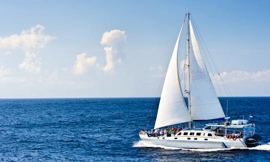 Aristocat Sailing Catamaran Day or Evening Cruises