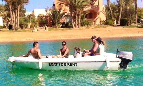 Cruise Along The Red Sea Onboard A Center Console Boat!