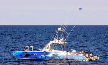 Enjoy Fishing in Vilanculos, Mozambique on 38' Game Changer Sport Fisherman