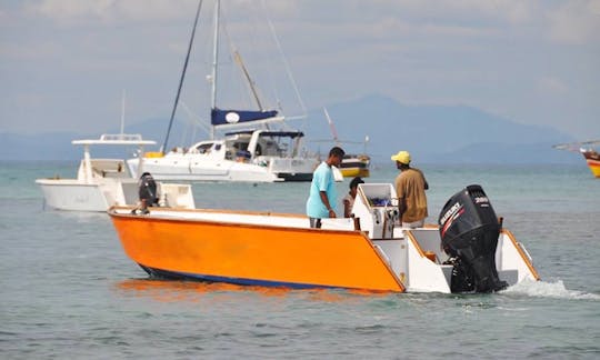 Charter 26' Center Console in Fianarantsoa Province, Madagascar