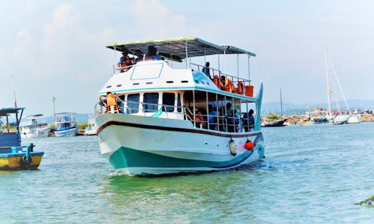 Navegue por Mirissa, Sri Lanka, com este passeio de barco