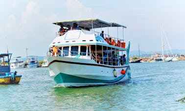 Faites une croisière autour de Mirissa, au Sri Lanka, avec cette excursion en bateau