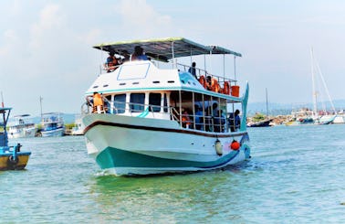Cruise around Mirissa, Sri Lanka with this boat tour