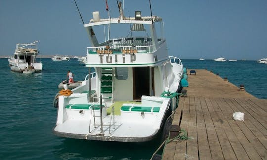 Disfruta de la pesca en la gobernación del Mar Rojo, Egipto, con un pescador deportivo de 68 pies