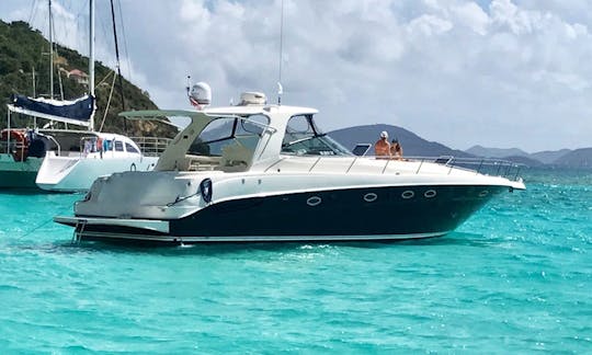 Alquiler de yate a motor Sea Ray 460 Sundancer en USVI/BVI