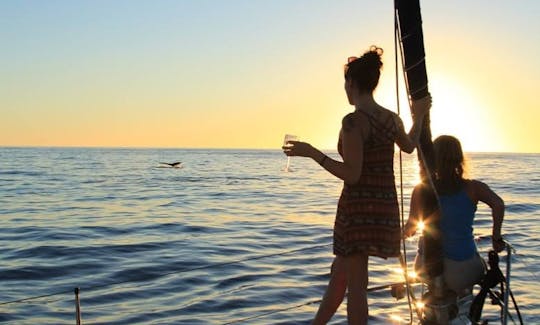 Enjoy a small group Sunset Sailing Cruise in Cabo San Lucas