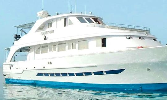 Experience Luxury on a Motor Yacht in Red Sea Governorate, Egypt