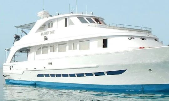 Experience Luxury on a Motor Yacht in Red Sea Governorate, Egypt