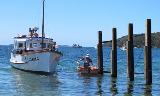 Enjoy Fishing in Stewart Island, New Zealand on Trawler