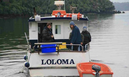 Enjoy Fishing in Stewart Island, New Zealand on Trawler