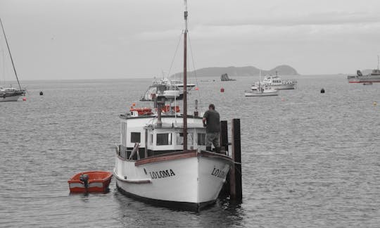 Enjoy Fishing in Stewart Island, New Zealand on Trawler