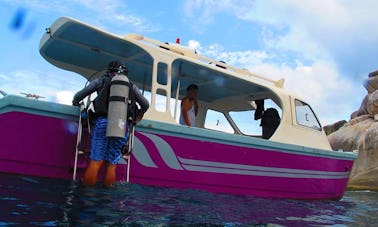 Disfruta de clases de buceo en Pahang, Malasia