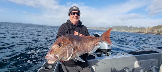 Discover Your Angling Skills, Go Fishing in Paihia, New Zealand