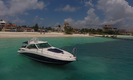 Sea Ray  44ft  #GMBSR44SD Cancun to Isla Mujeres luxury Sundancer 