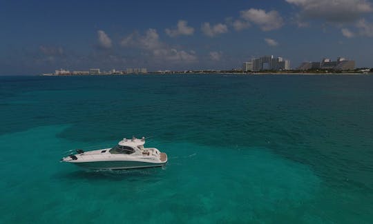 Sea Ray  44ft  #GMBSR44SD Cancun to Isla Mujeres luxury Sundancer 