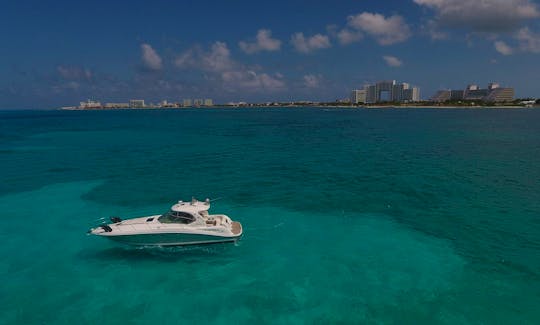 Sea Ray 50 ft in Cancun to Isla Mujeres luxury Sundancer optional: JetSki Scooter Snorkel Paddleboard