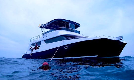 Exclusive Boat Diving and Snorkeling Trips for 12 People Around Koh Tao in Thailand!
