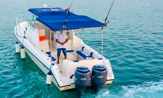 31ft Dubai Fishing Trip
