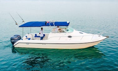 31ft Dubai Fishing Trip