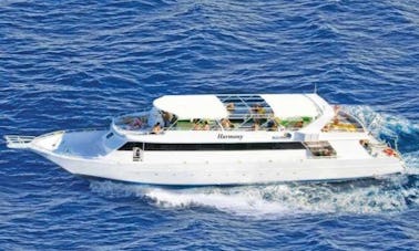 Charter Harmony Motor Yacht in South Sinai Governorate, Egypt